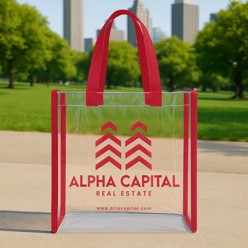 Clear Stadium Bags 3