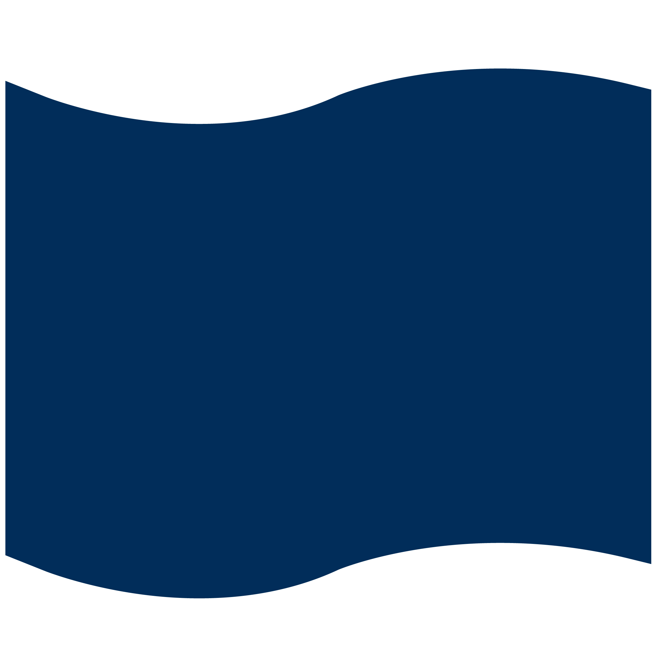 Foam Flag Mitt 32