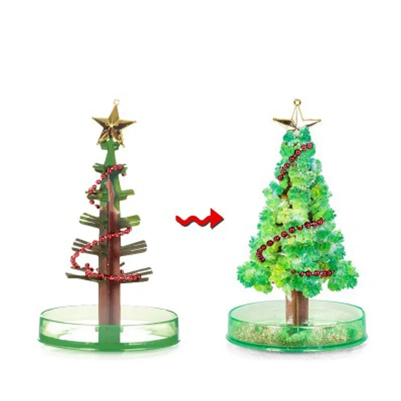Magic Paper Growing Tree 3