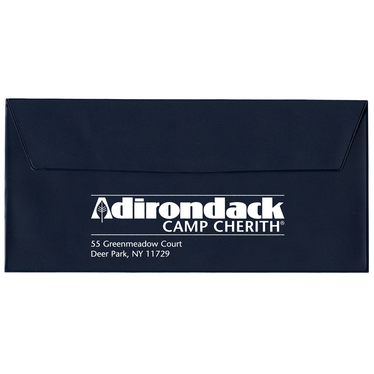 Standard Vinyl Document Case 2