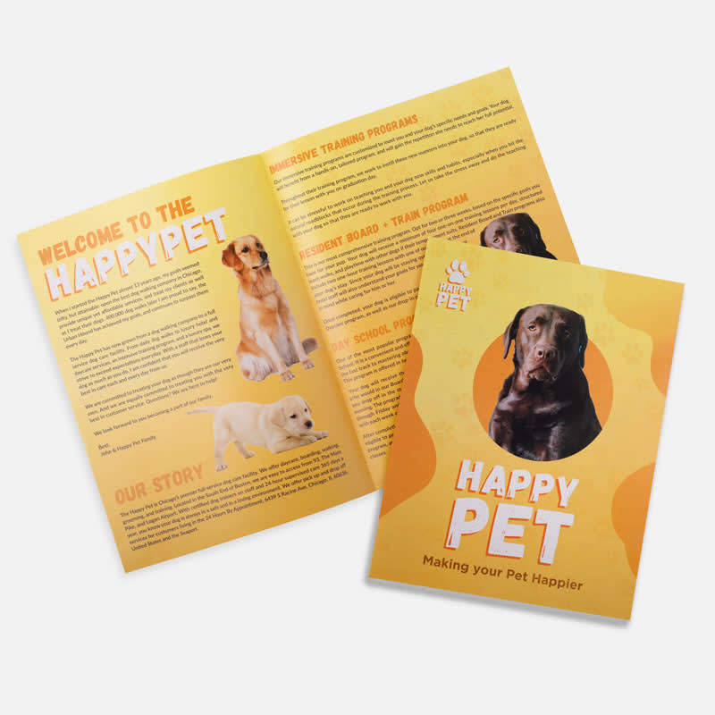11" X 17" Brochures 16