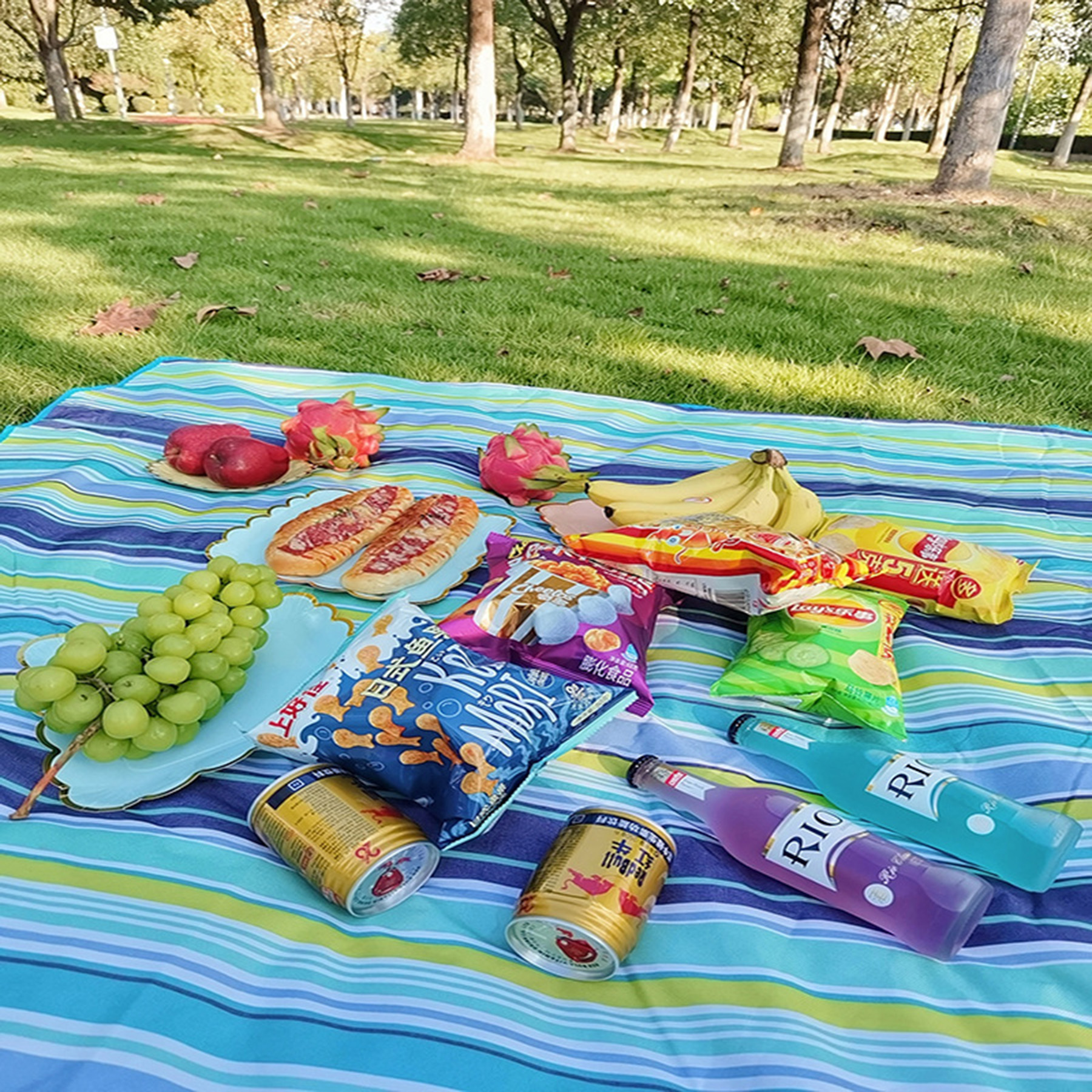 Outdoor Picnic Blanket 2