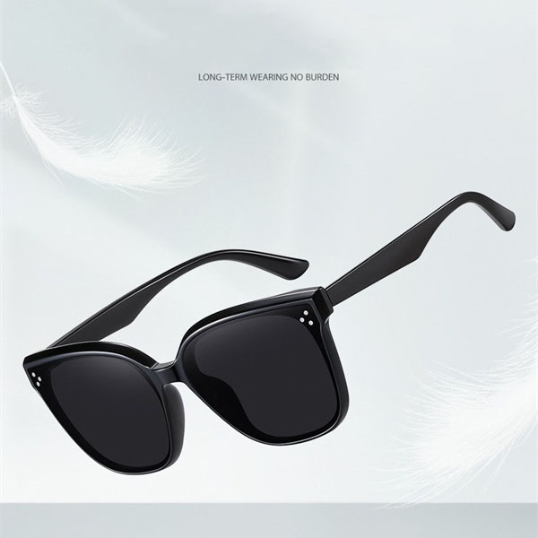Regular Sunglasses 4