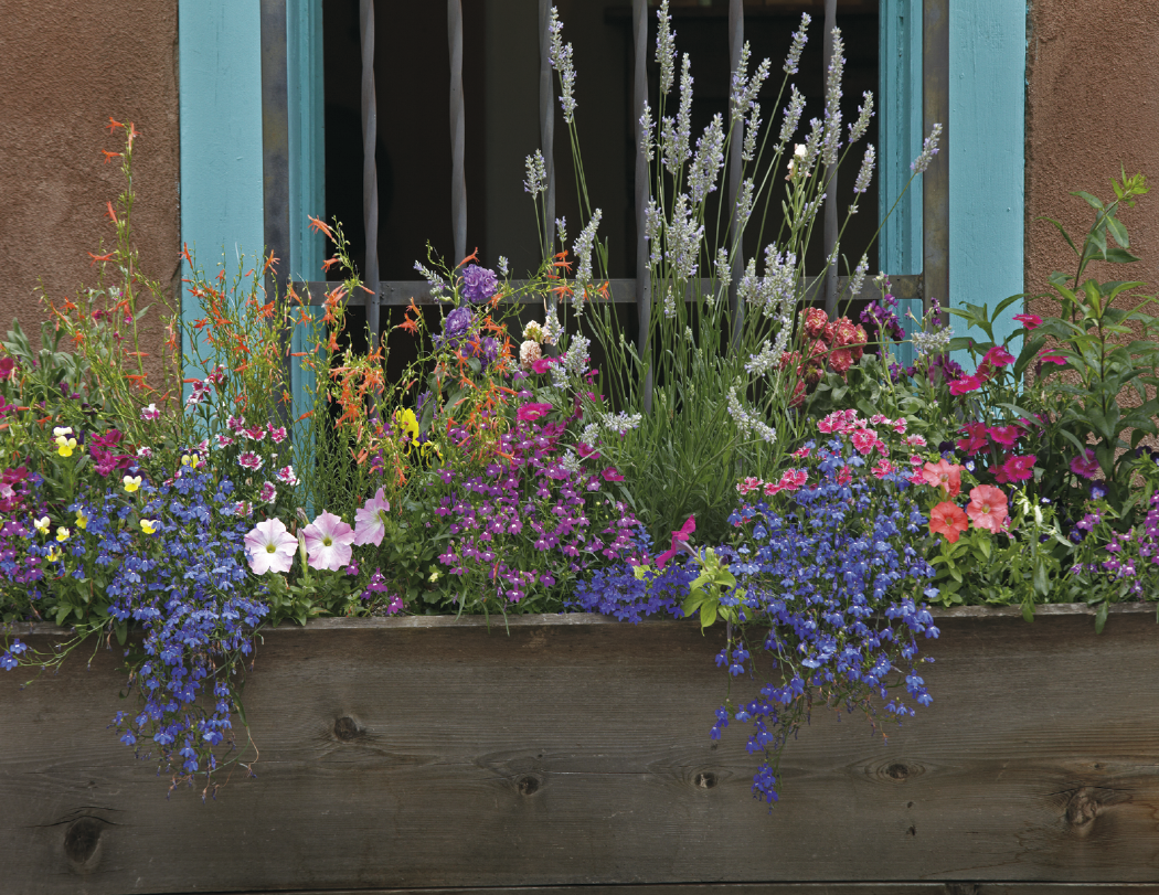 HotLine® Products Gardens Appointment Calendar - Stapled 1