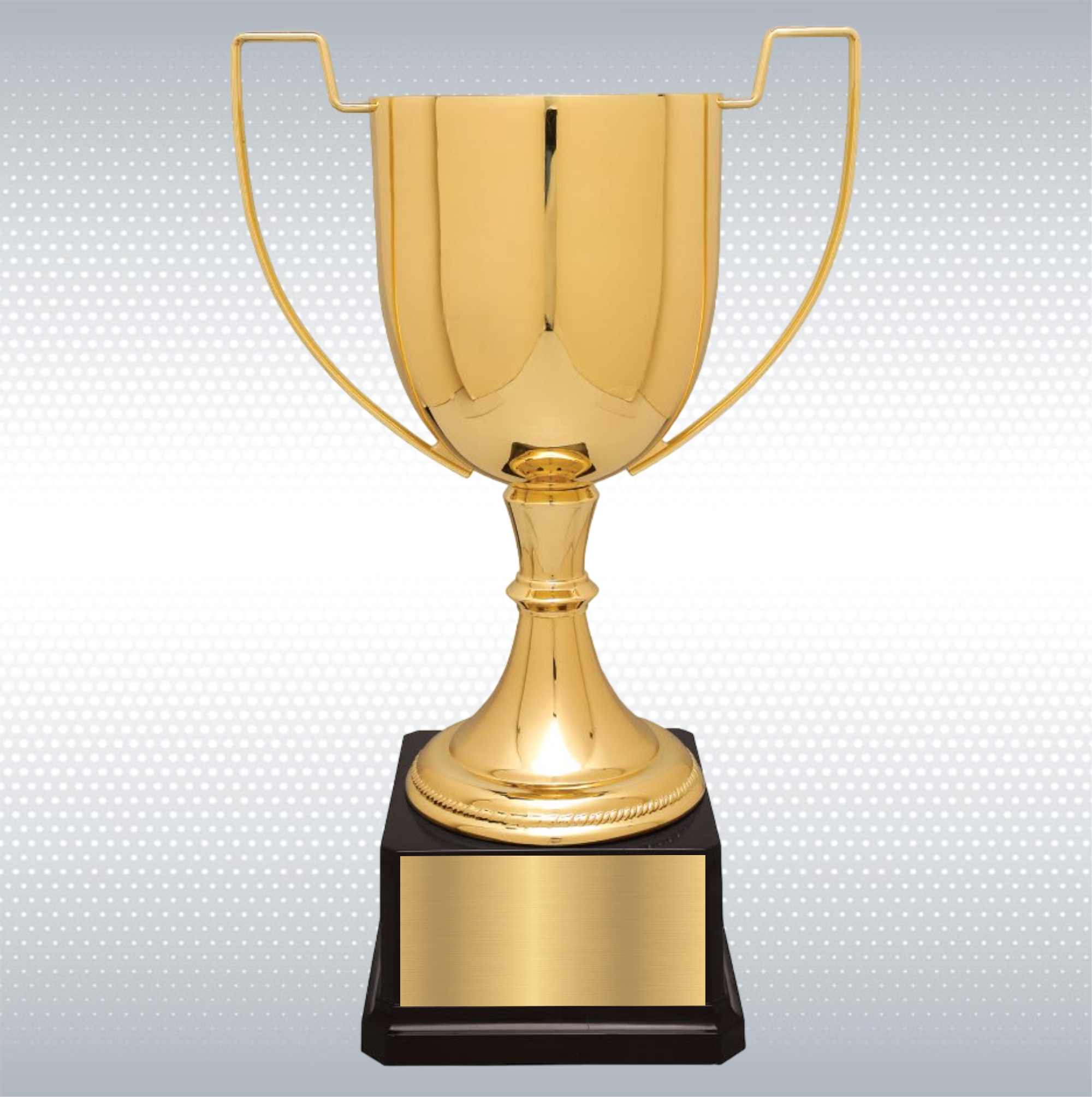 13" Completed Zinc Cup Trophy on Plastic Base 6
