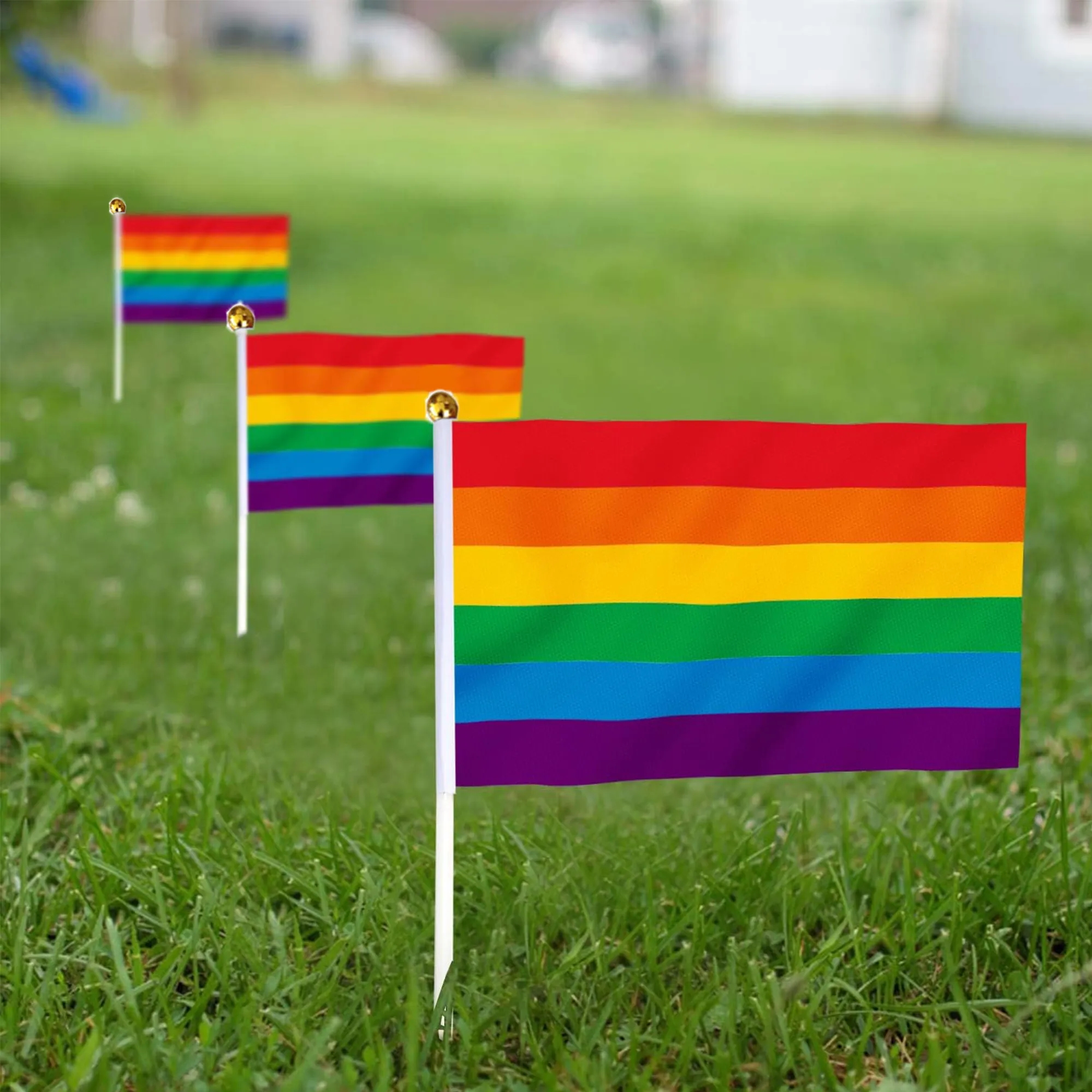 Mini Handheld Rainbow Flag Decoration Event Festival 3