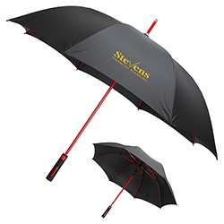 Parkside Auto-Open Umbrella with Contrasting Color Frame 10