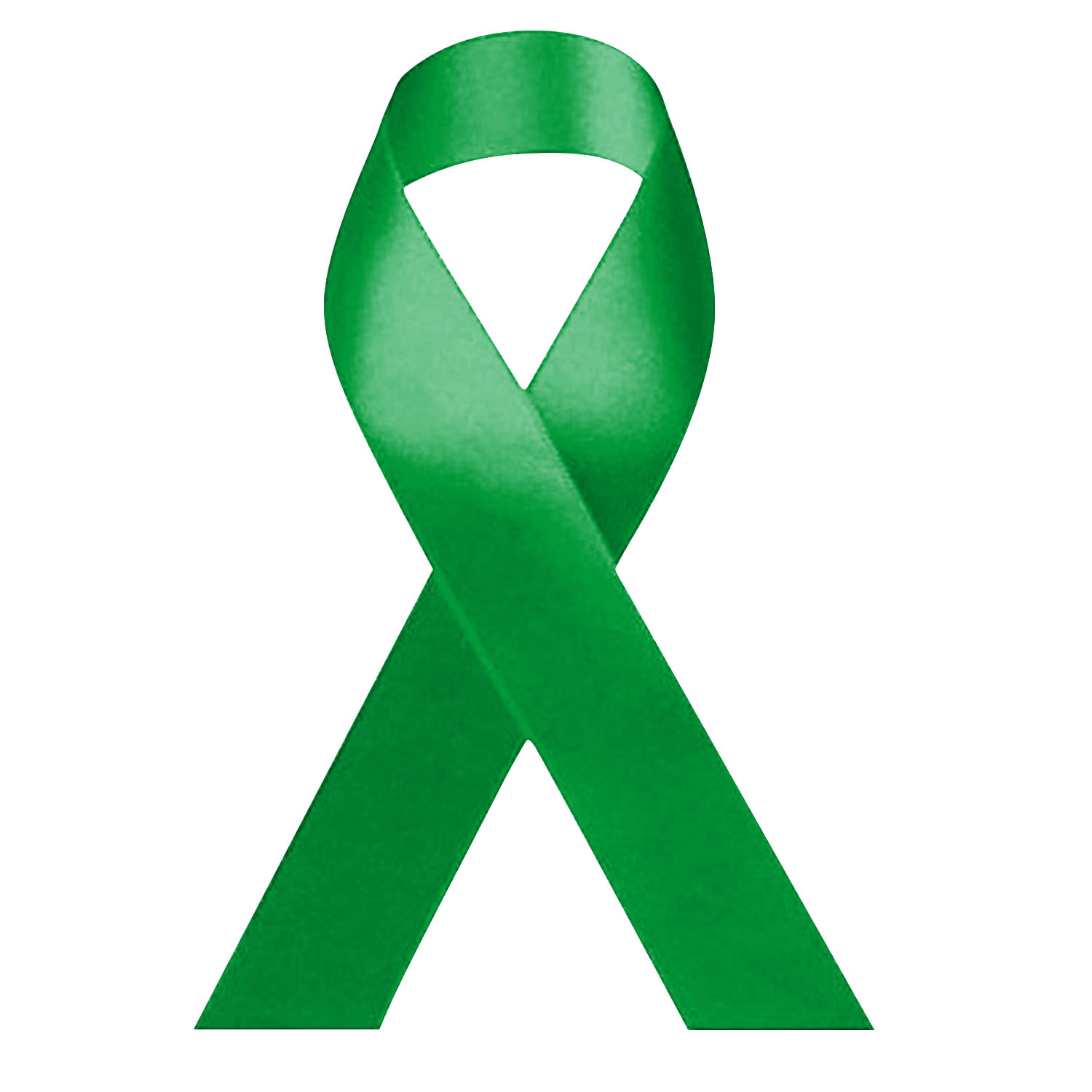 Blank Awareness Ribbons 3