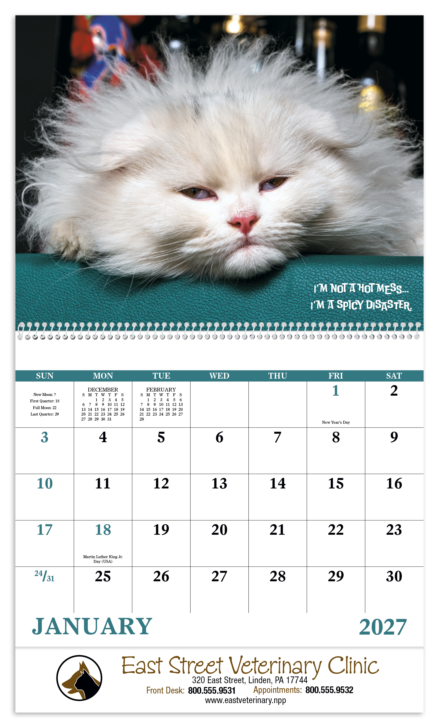 Good Value™ Pets with Attitude - Spiral Calendar 46