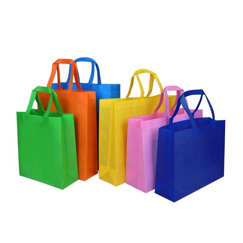 Non-woven Gift Bag 5