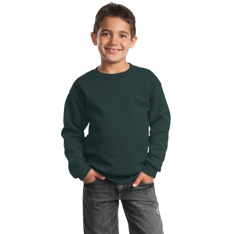 Port & Company Youth Core Fleece Crewneck Sweatshirt. 18