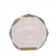 6 Inch Gold Octagon Acrylic Award 2