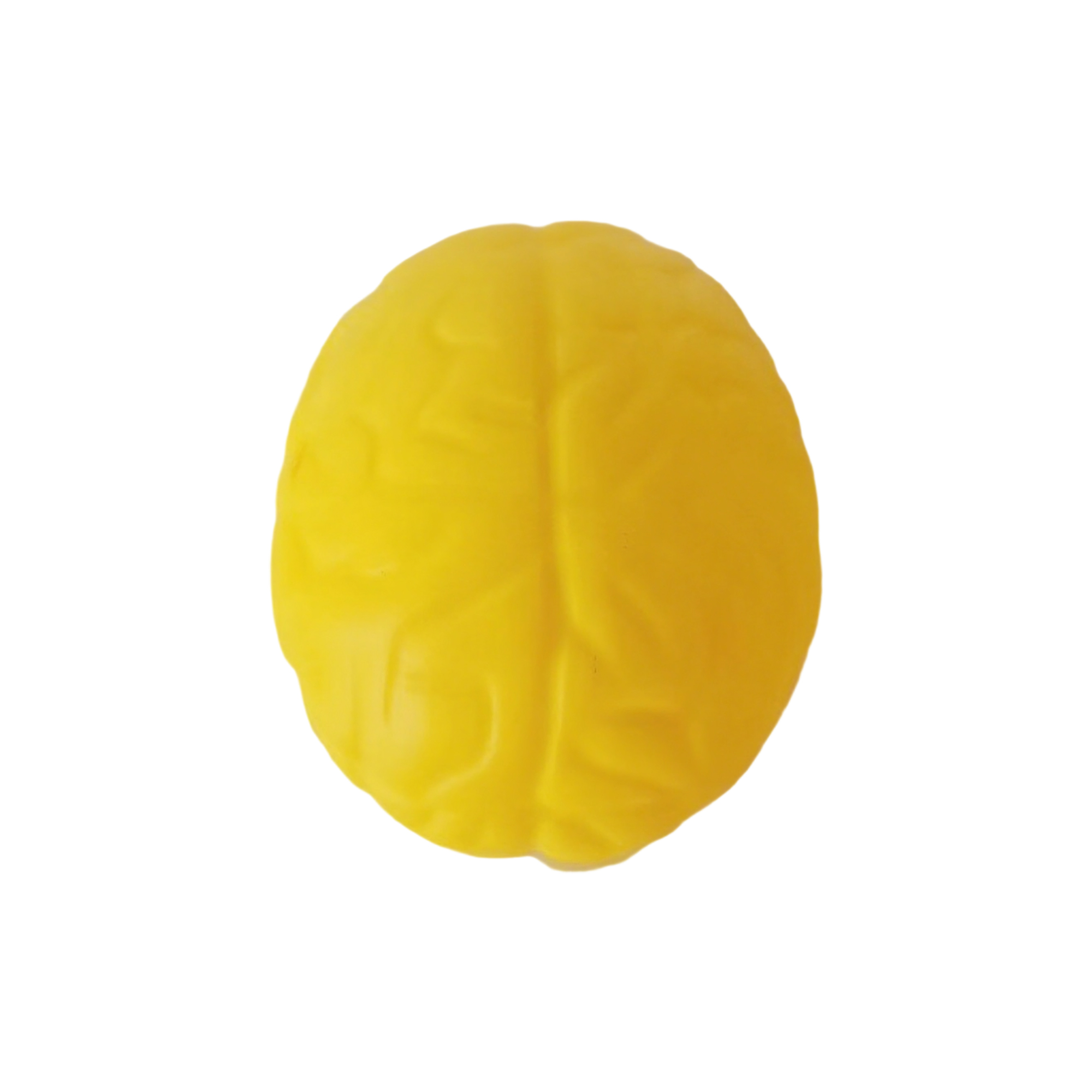 Brain Shape Foam Stress Reliever For Office And Education Use 13