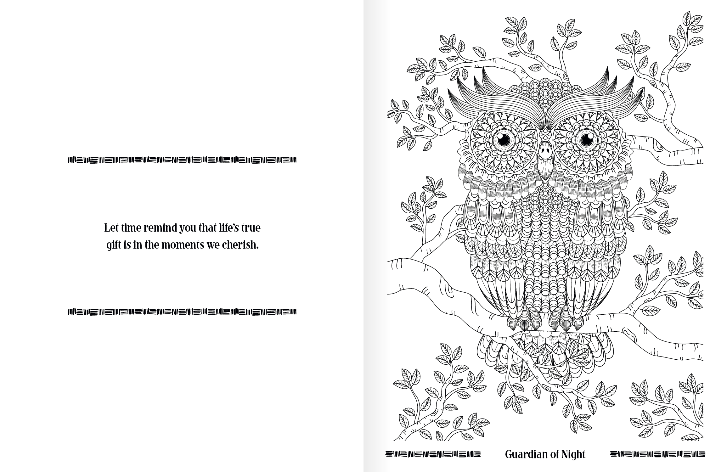 Good Value™ Wild Wonders Adult Coloring Book 21