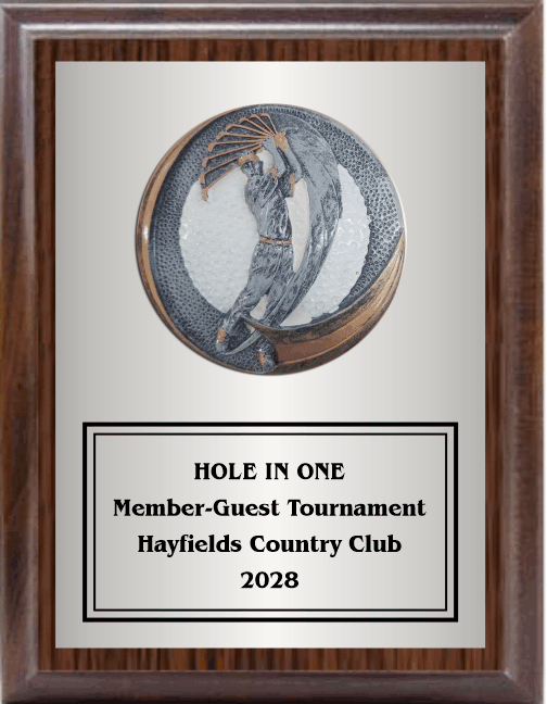 7"X9" Plaque With Full Plate And Golf Swing Plaque Mount 1
