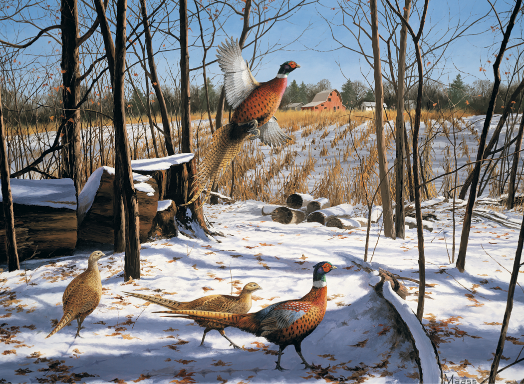 HotLine® Products Maass Wildfowl® Executive Calendar 5