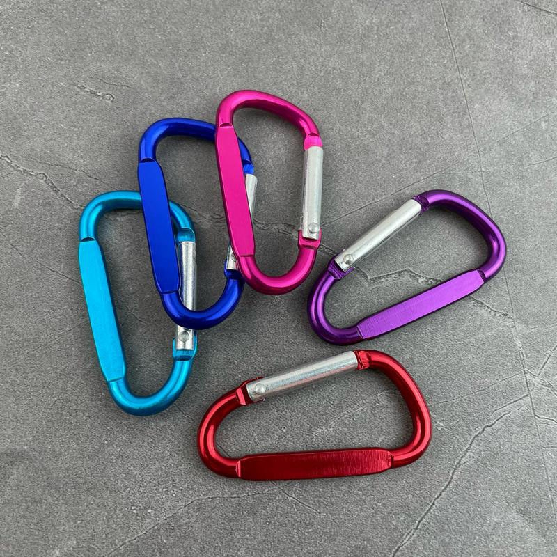 Carabiner Keychain 1