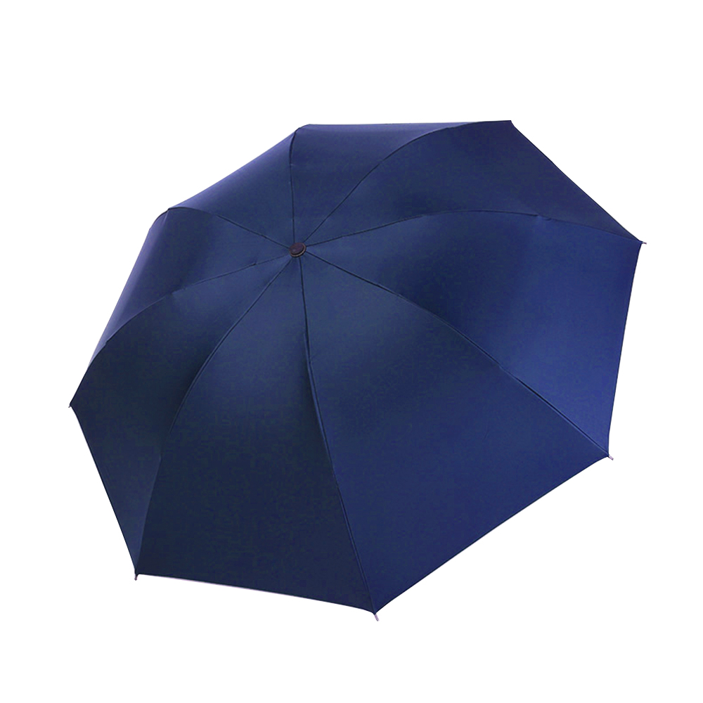 UV Umbrella 6