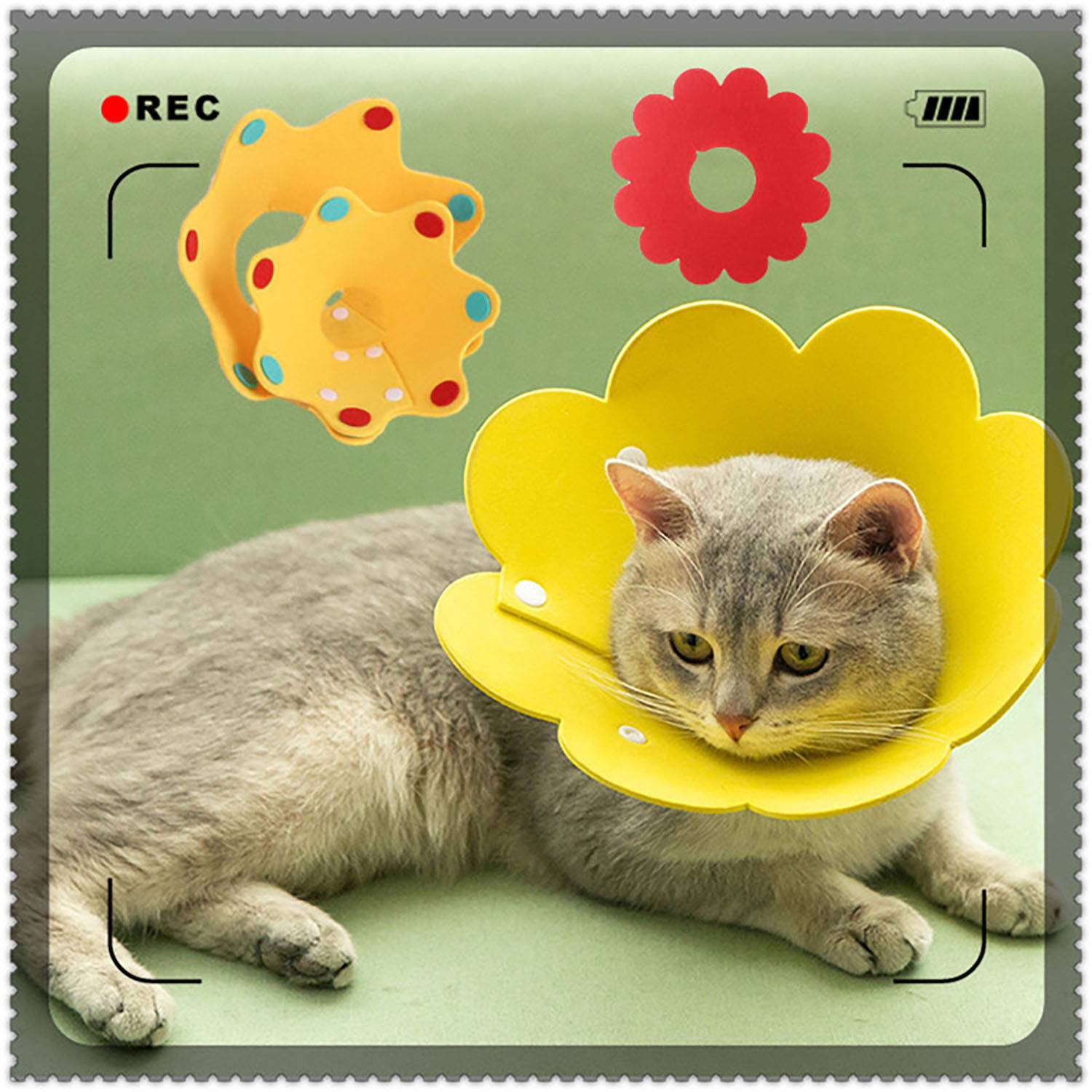 Flower L size Shaped Adjustable Pet Elizabeth Collar 10