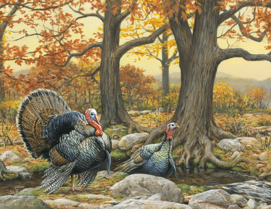 Triumph® Calendars Wildlife Art by the Hautman Brothers Calendar 26