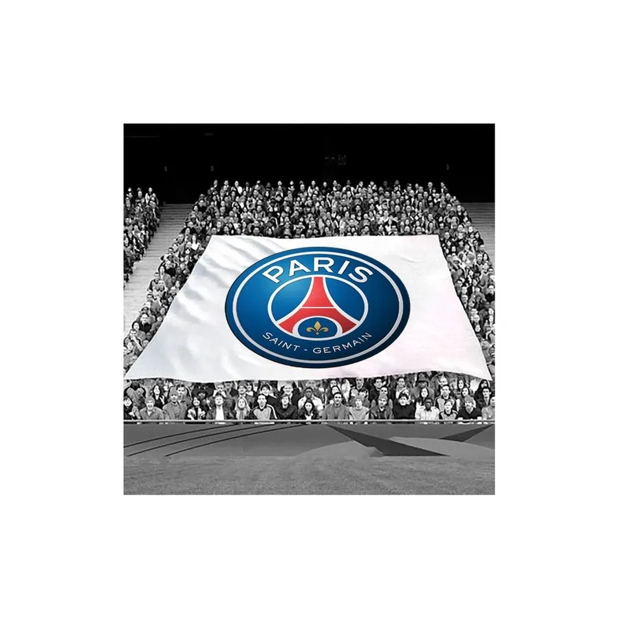 Crowd Flag 4