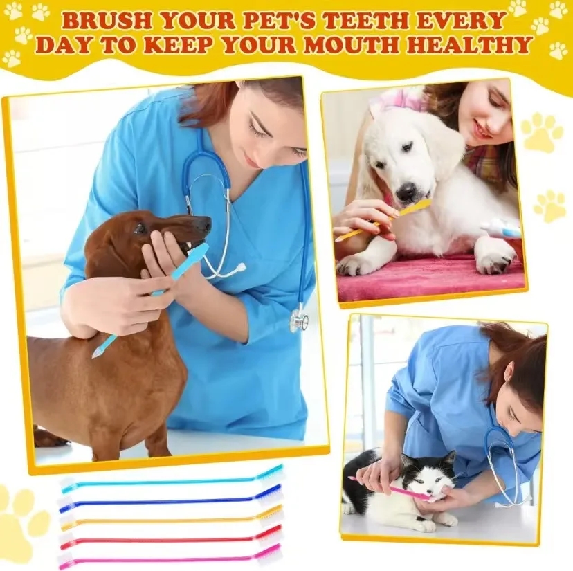 Pet double head toothbrush 4