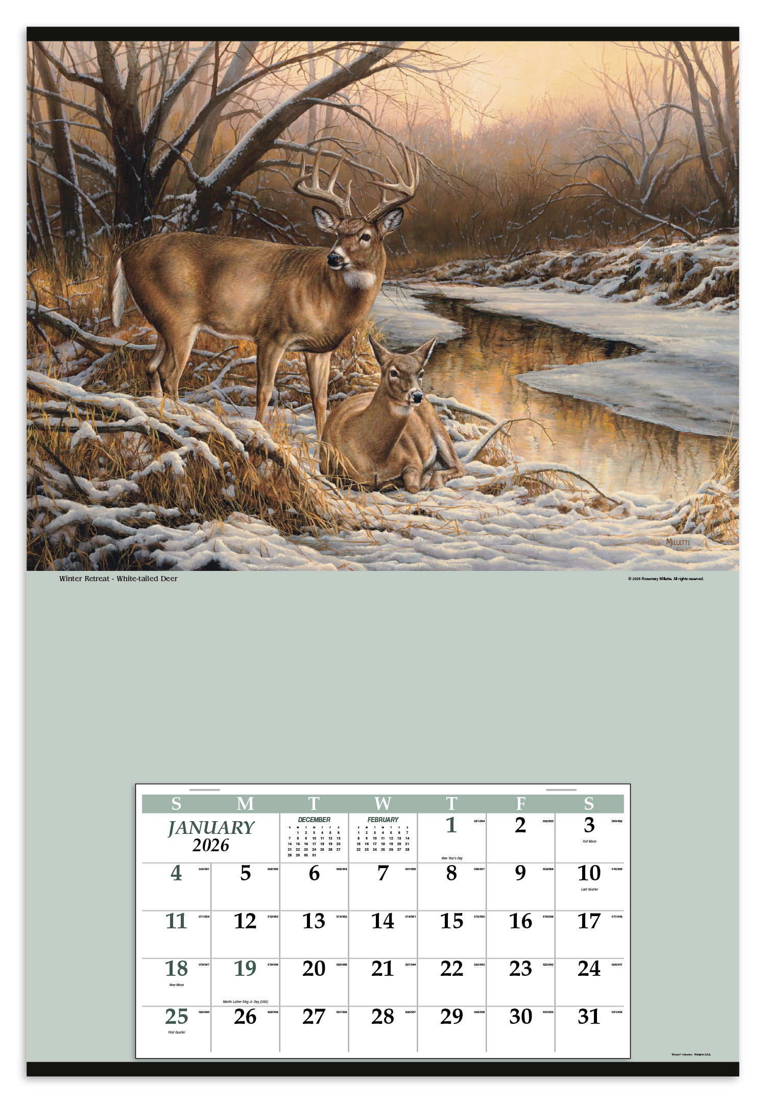 Triumph® Calendars Jumbo Hanger (12-Month) Calendar 18