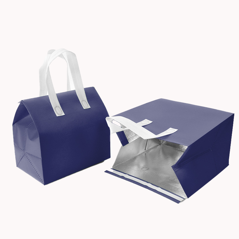 Aluminium Foil Insulation Bag 5