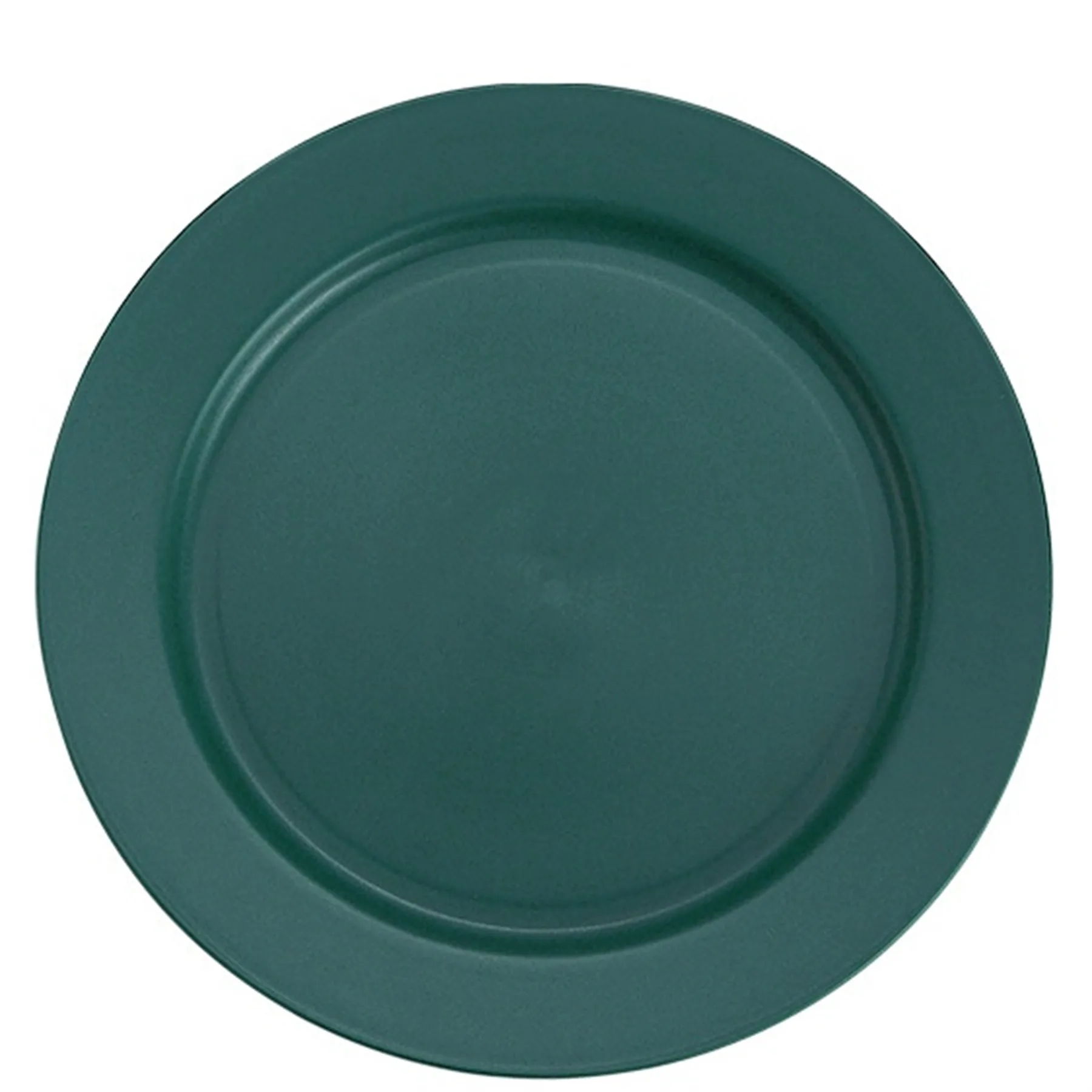 Plastic Plate 9.8 Inch 20