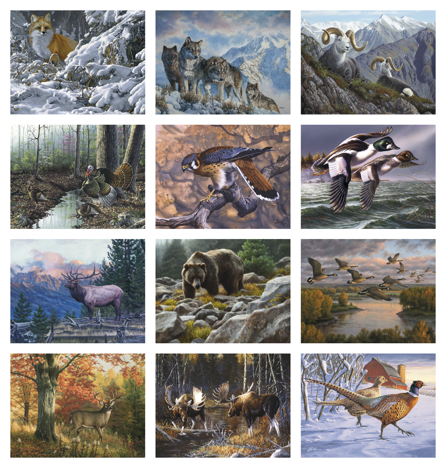 Good Value™ Wildlife Canvas - Stapled Calendar 30
