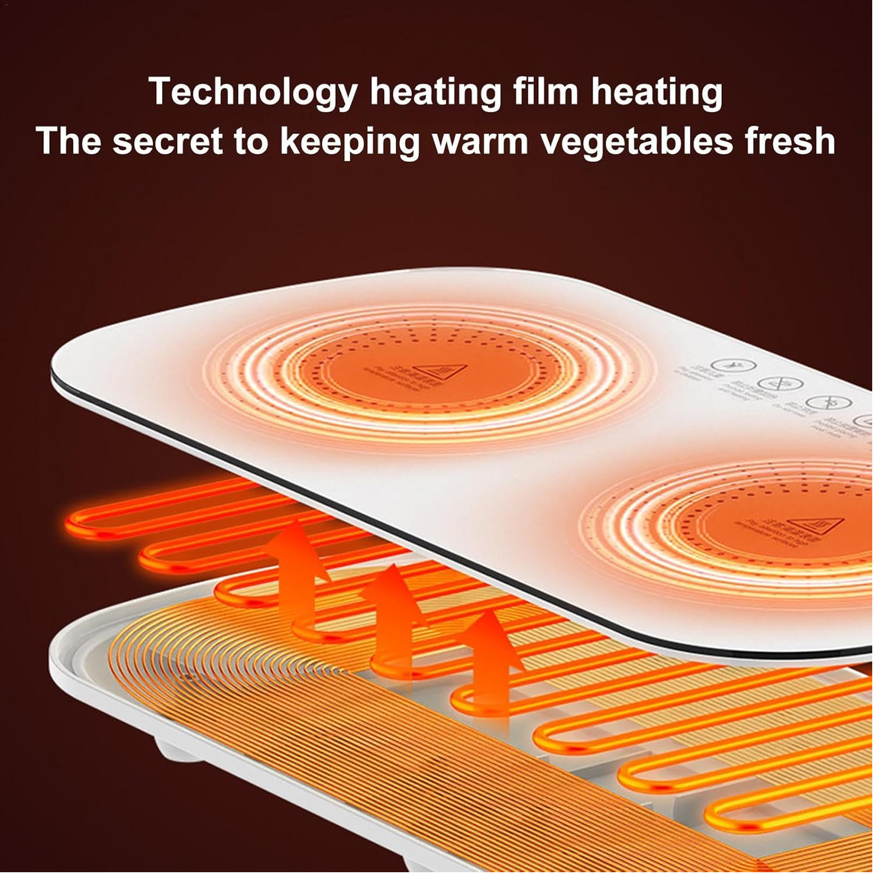 Electric Food Warmer Tray 8