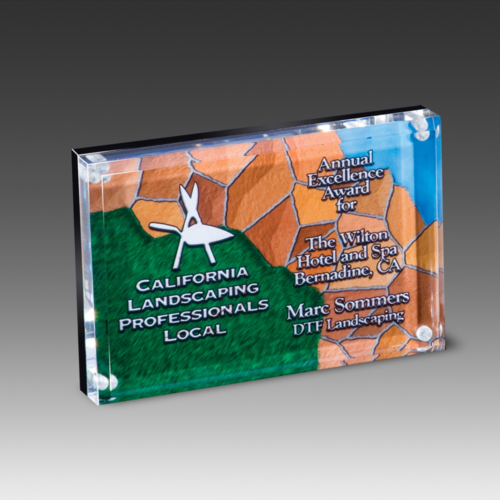 Magnetic Digital Entrapment Award (4"x6") 1