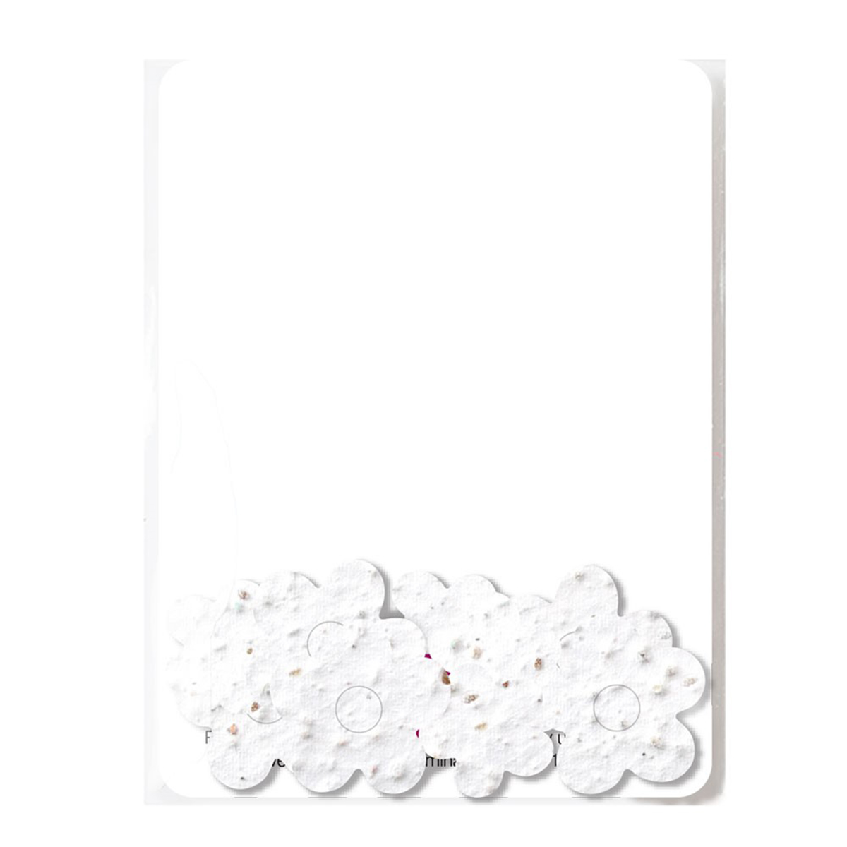 Bloomin® Seed Paper Confetti Gift Pack 3