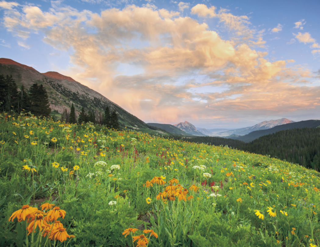 Triumph® Calendars Colorado Calendar 30