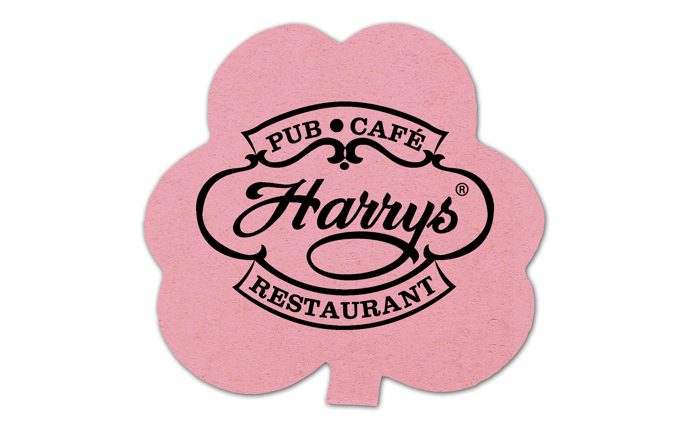 Shamrock Compressed Sponge 17