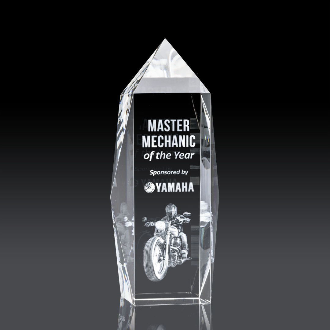 Bloomington Award 3D 4