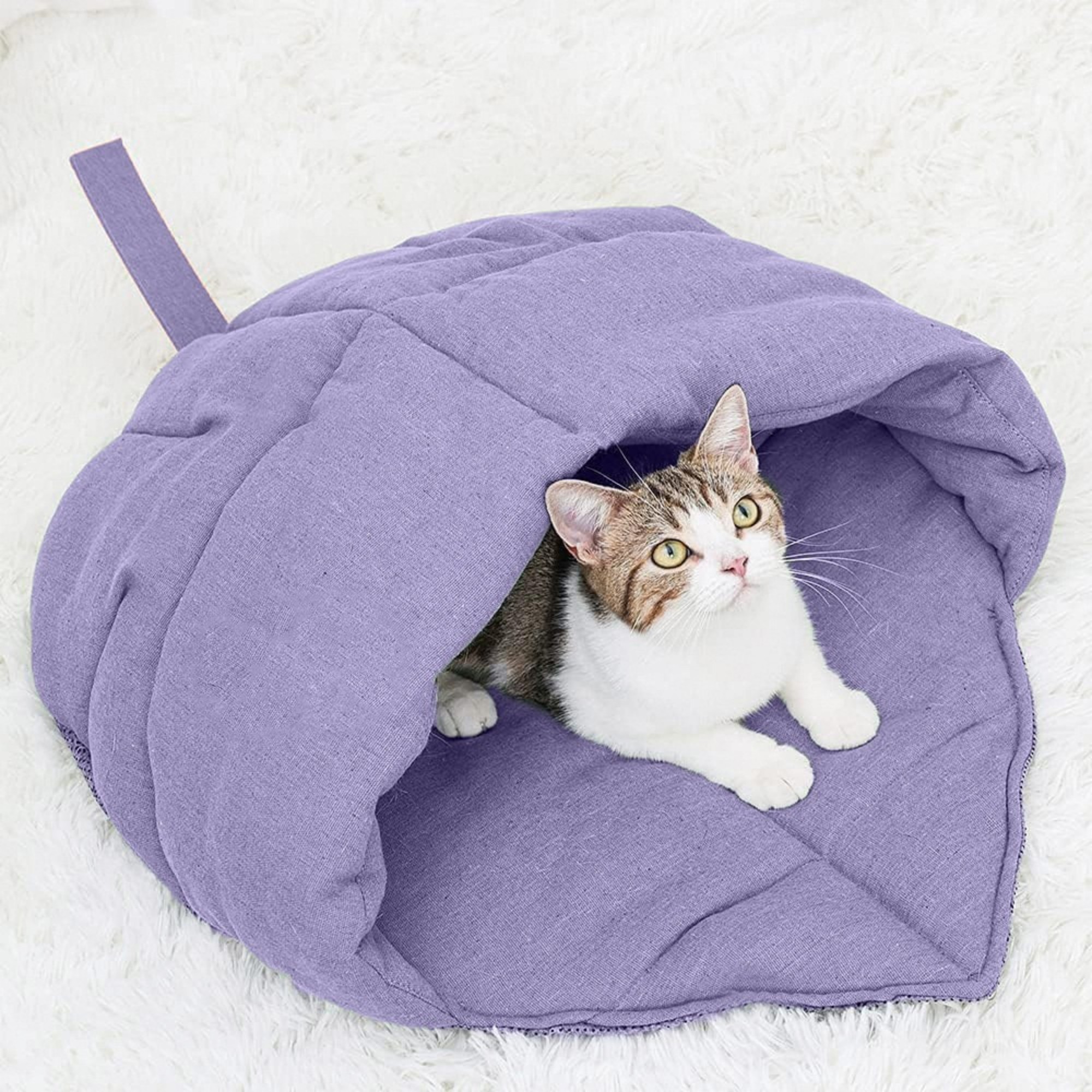 Cat Sleeping Bag 9