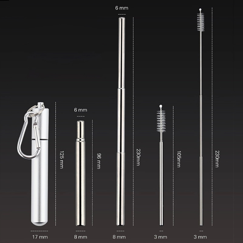 Retractable Straw Set 2