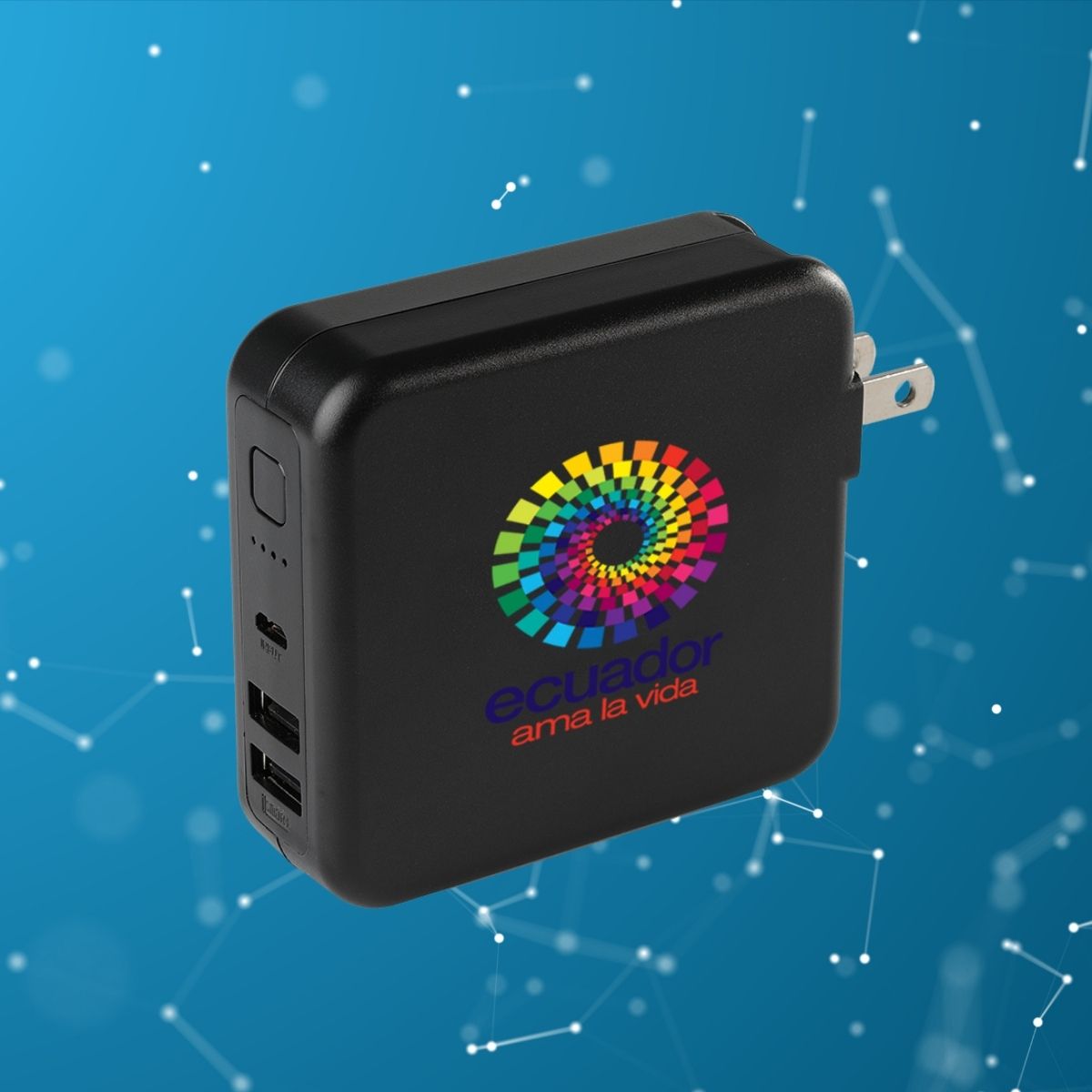 RAVPower Power Bank with Dual USB Wall Charger - 6700mAh 10