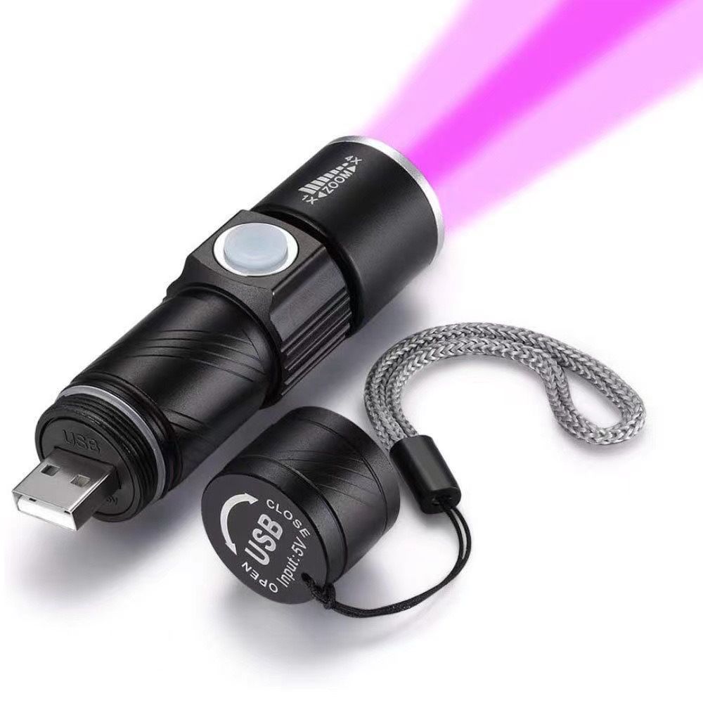 USB Rechargeable Portable Ultraviolet Flashlight 2