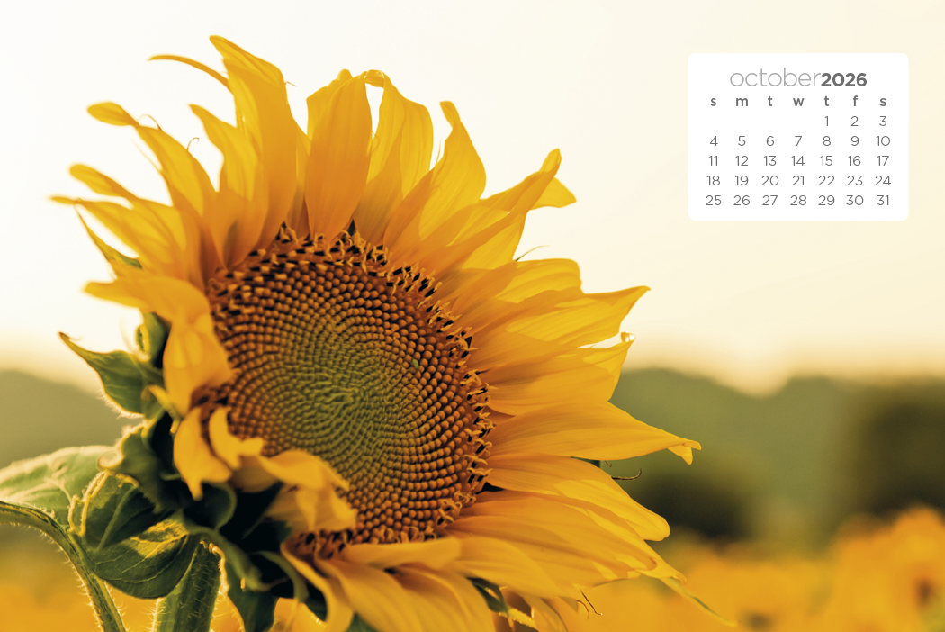 Triumph® Calendars Simplicity Large Desk Calendar 35