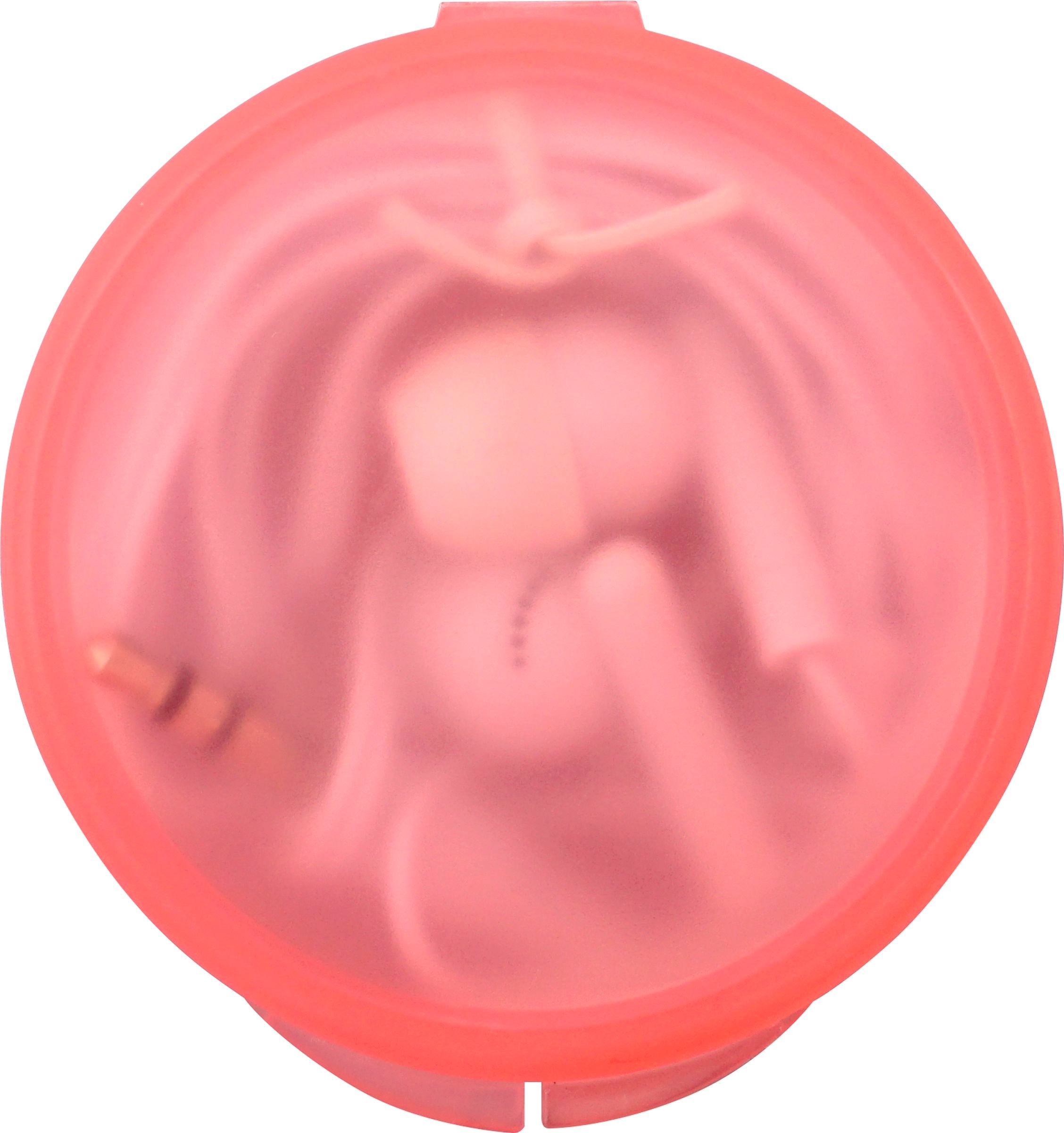 Round Ear Bud Case 19