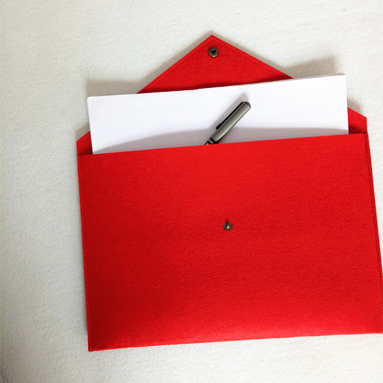 Document Case 8