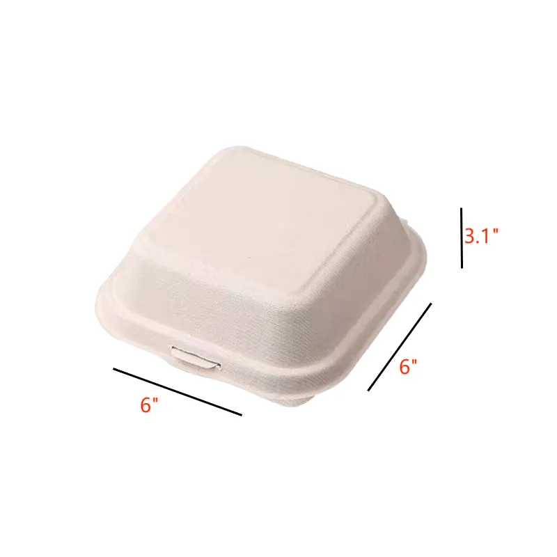 100% Compostable Biodegradable Take Out Container 2