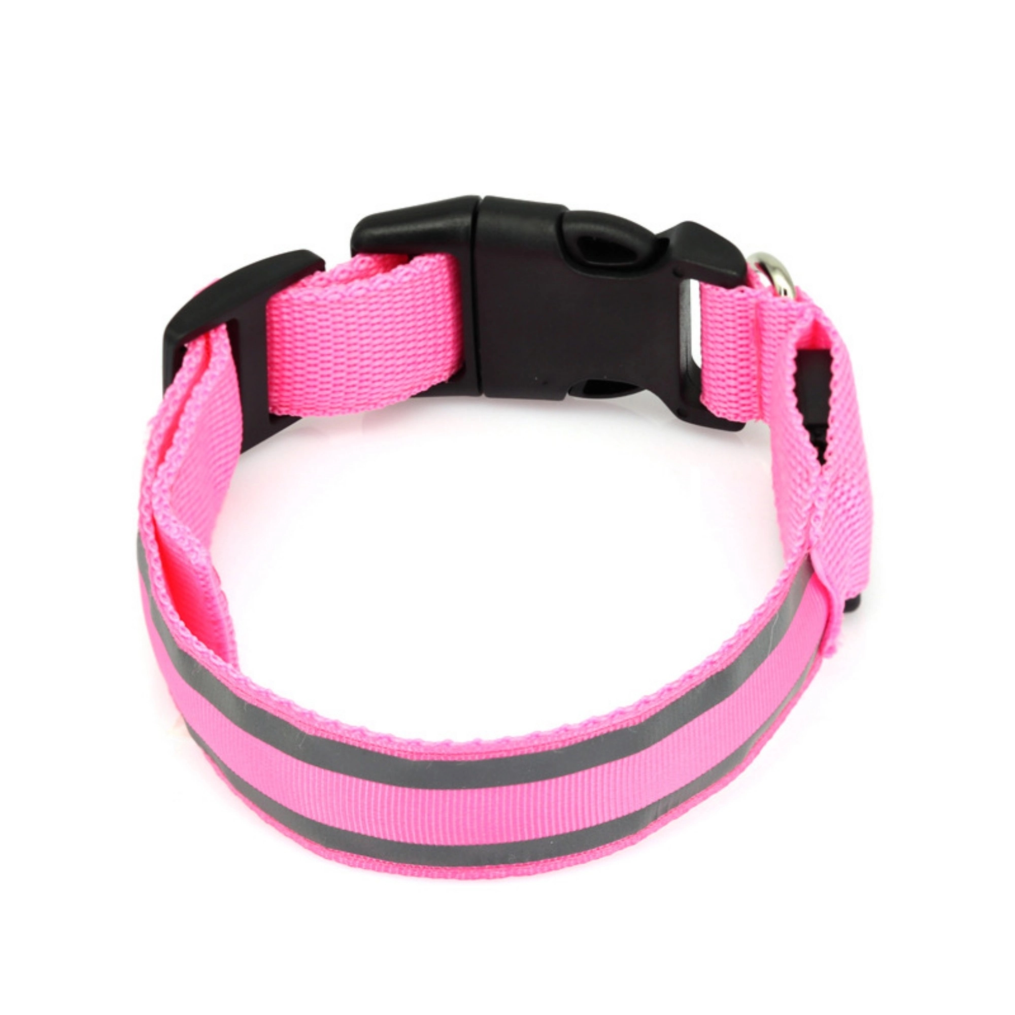 LED Dog Collar 2