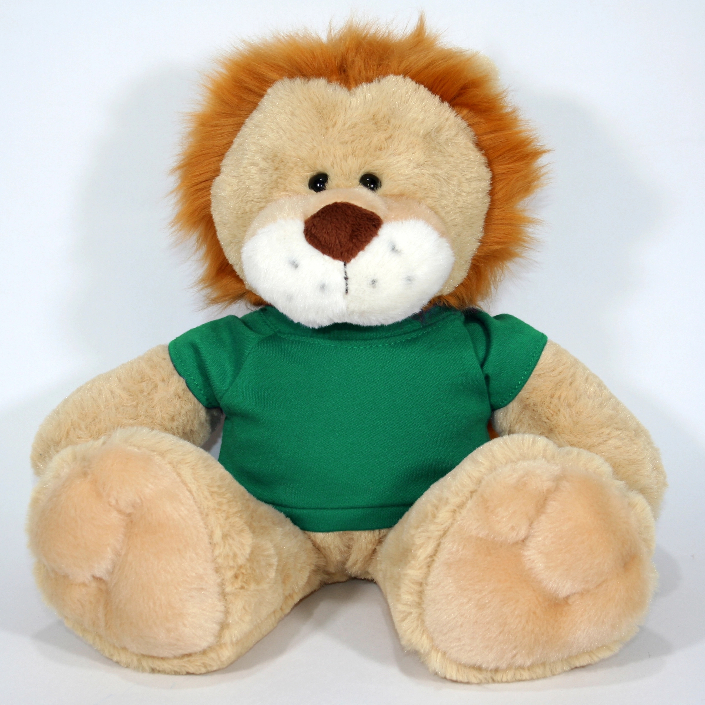 14" Pick-A-Pet Lion 12