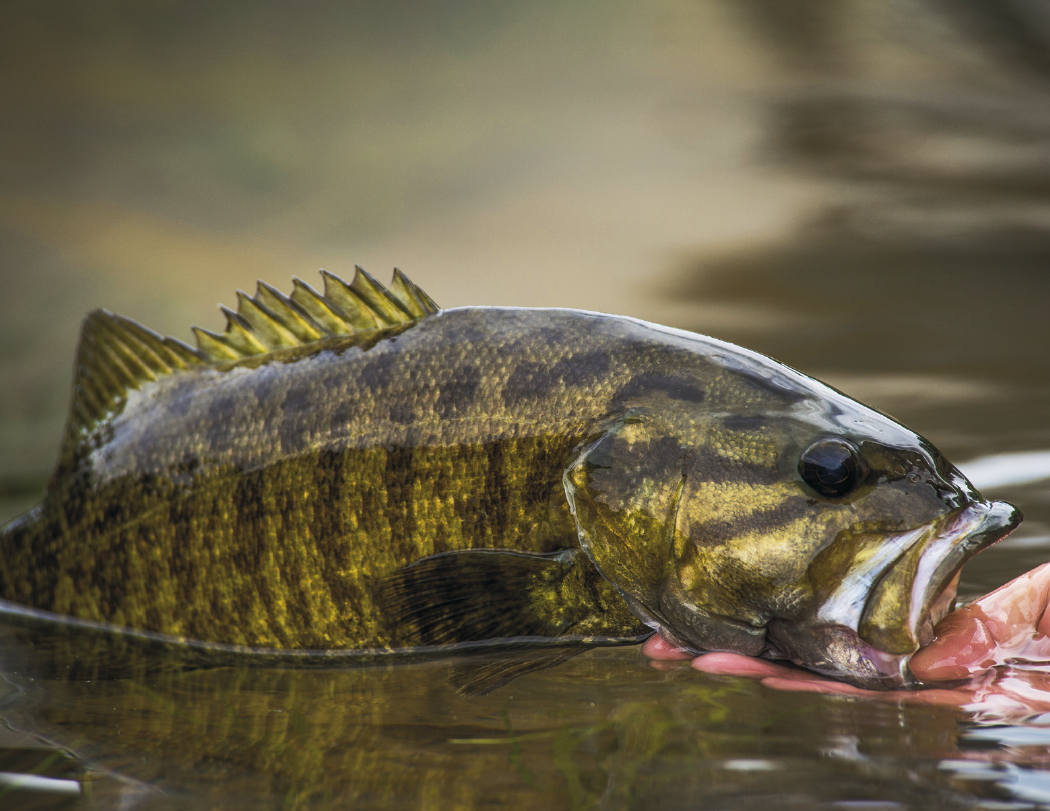 HotLine® Products Fishing Guide Appointment Calendar - Stapled 73