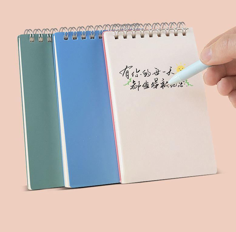 Little Spiral Notebook 2