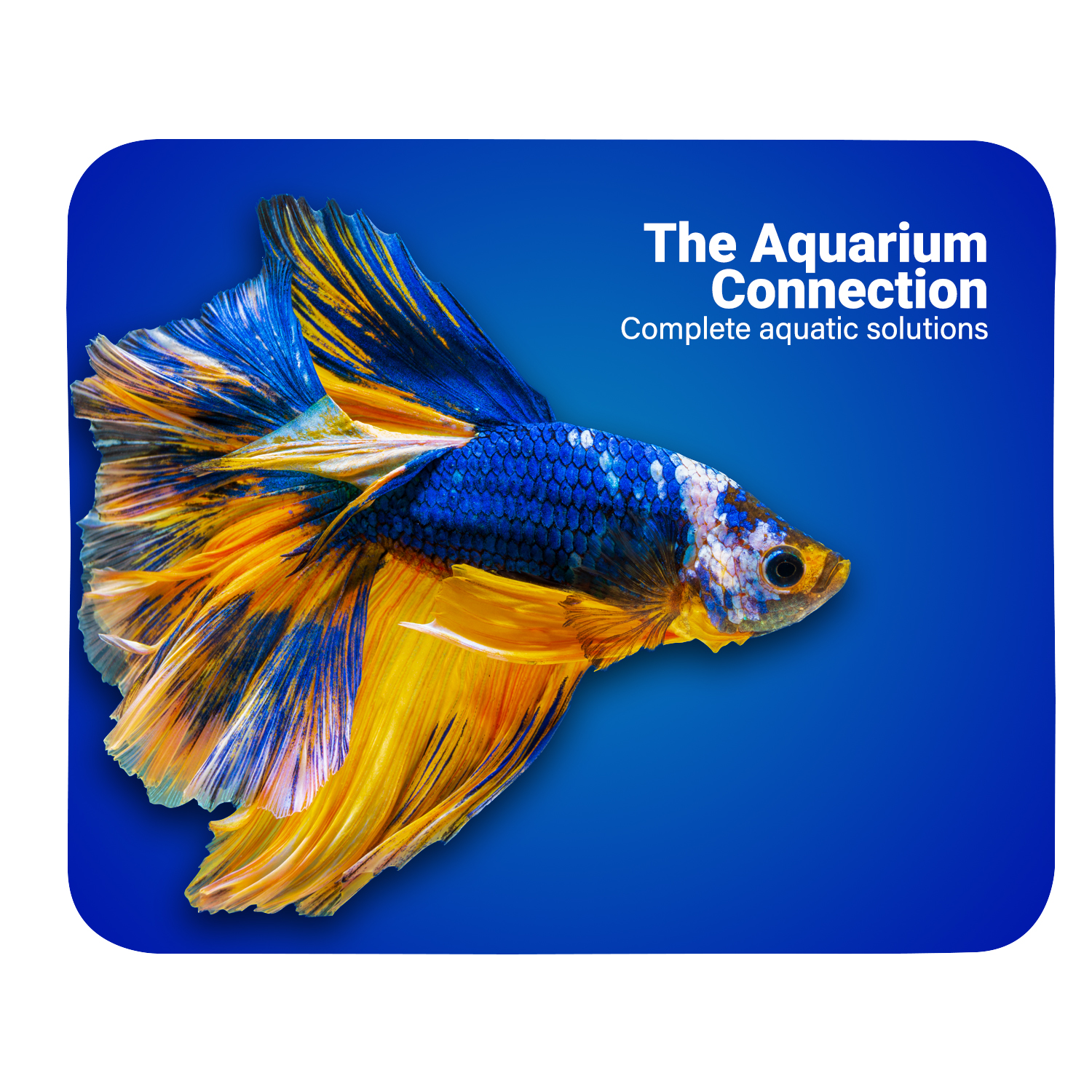 Sublimated Rubber Back Mouse Pad 6