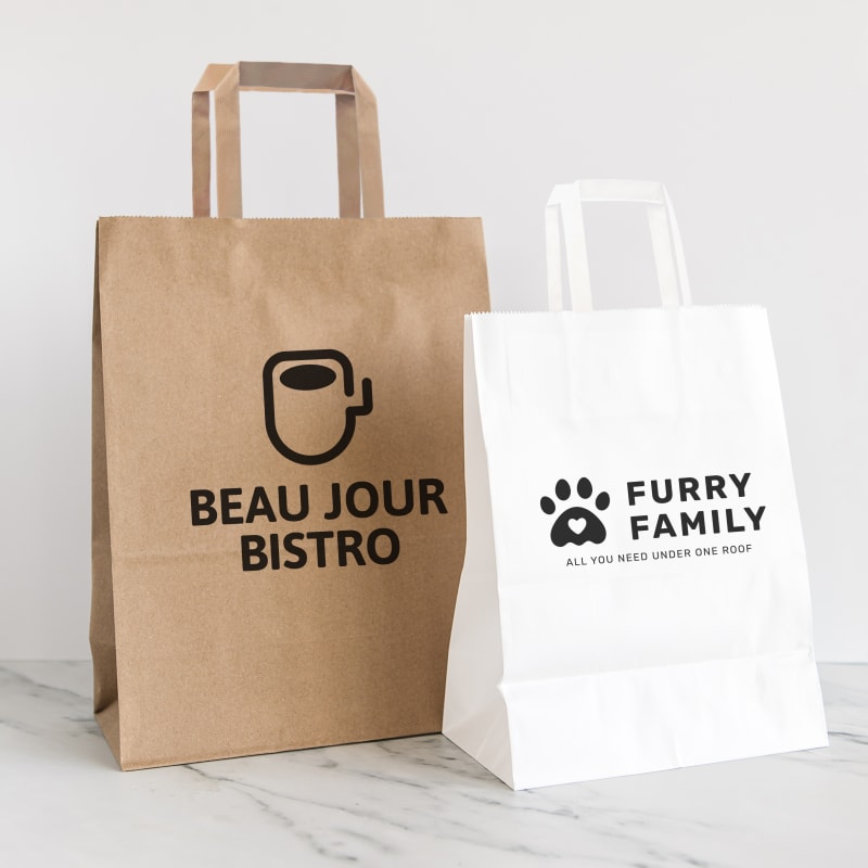 10 X 13 Inch Custom Paper Shopping Bag With Handles 16